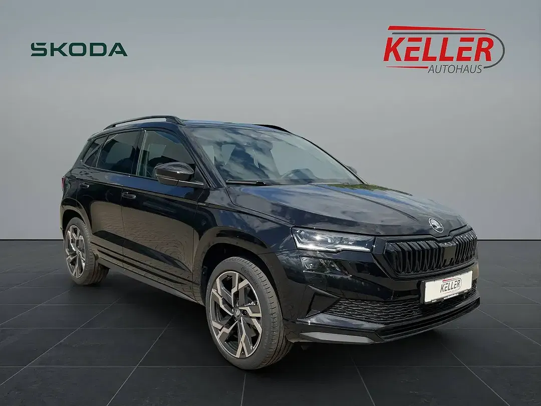 Skoda Karoq - Thumbnail 3
