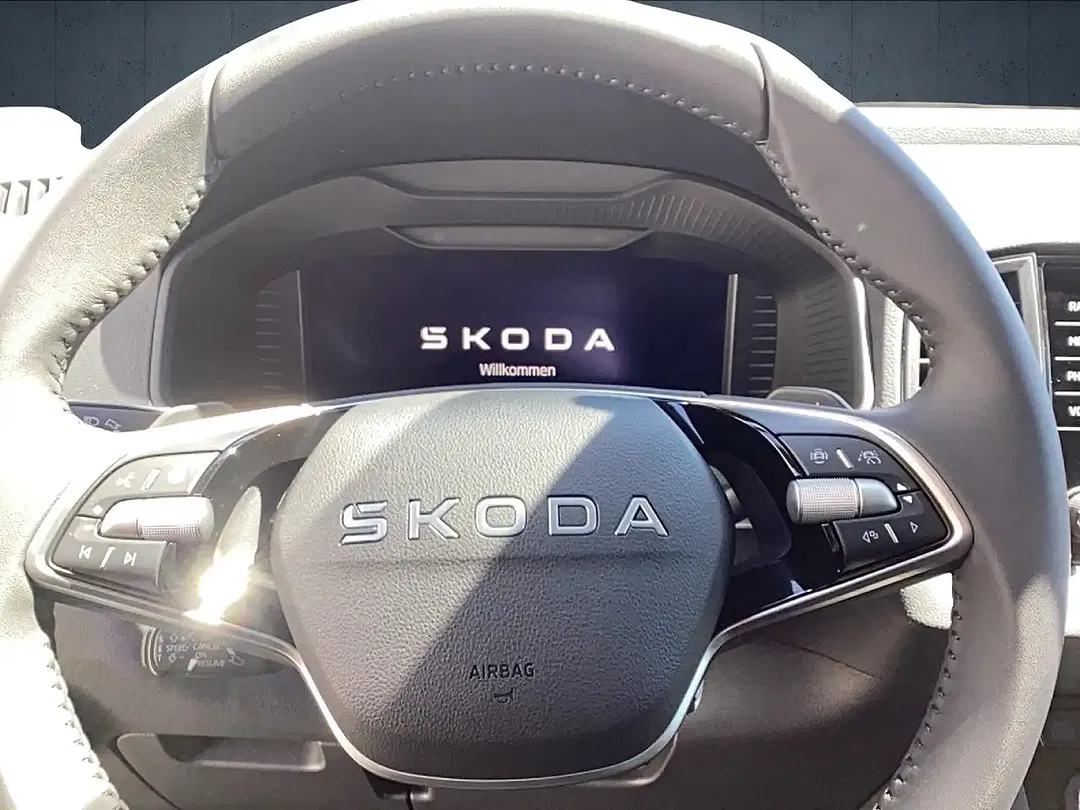 Skoda Karoq - Thumbnail 10