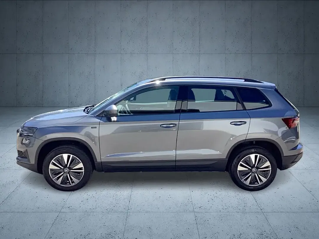 Skoda Karoq - Thumbnail 2