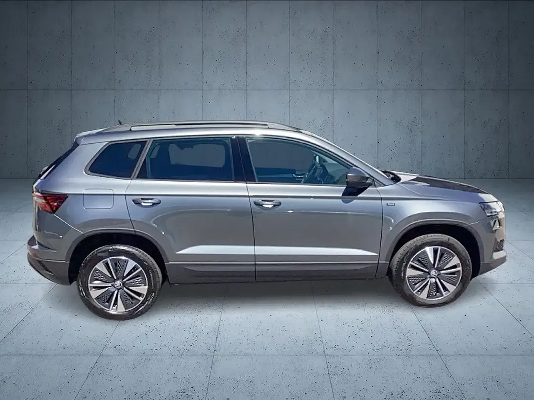 Skoda Karoq - Thumbnail 6