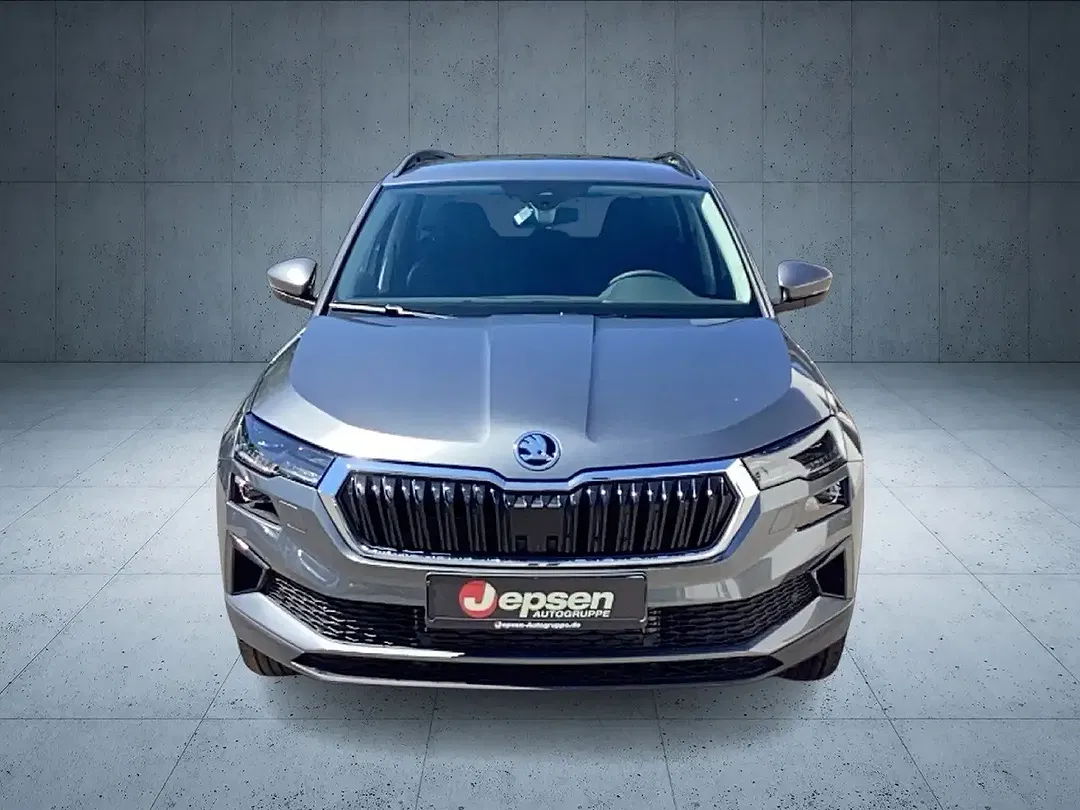 Skoda Karoq - Thumbnail 8