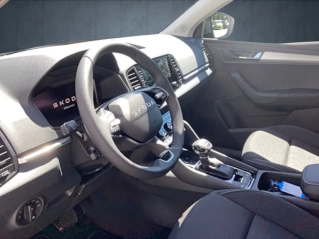 Skoda Karoq - Thumbnail 9