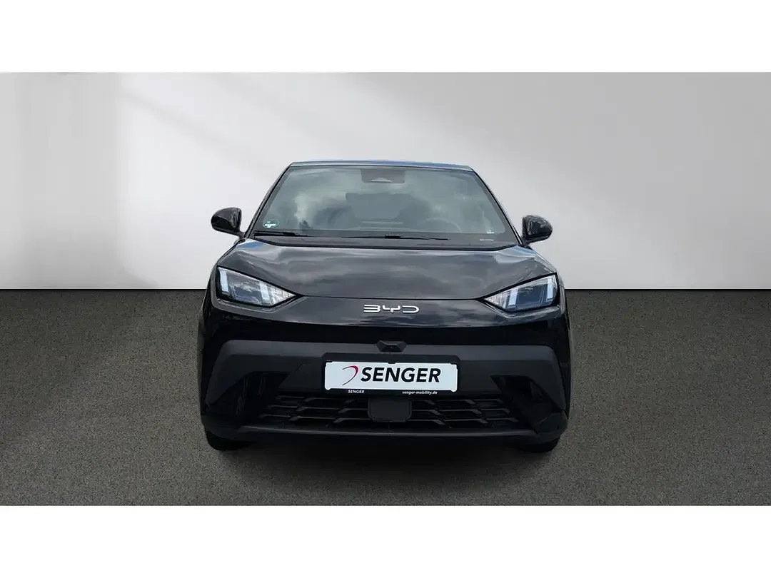 BYD Dolphin - Thumbnail 4