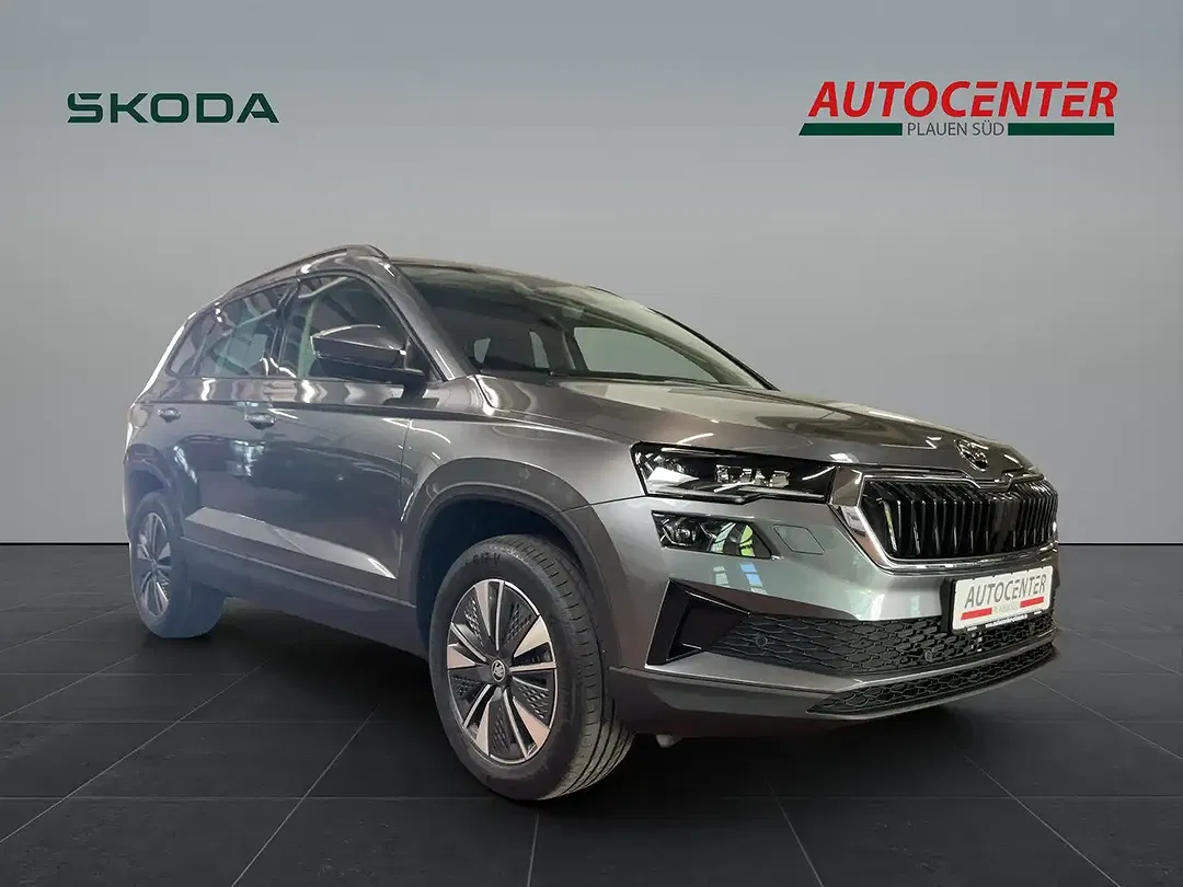 Skoda Karoq - Thumbnail 7