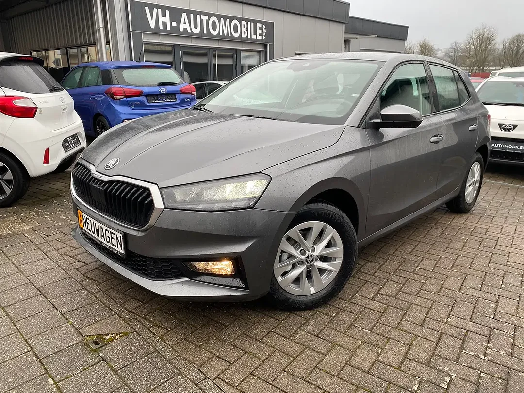 Skoda Fabia - Afbeelding 1
