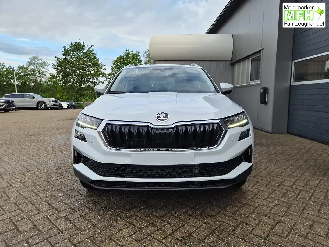 Skoda Karoq - Thumbnail 8