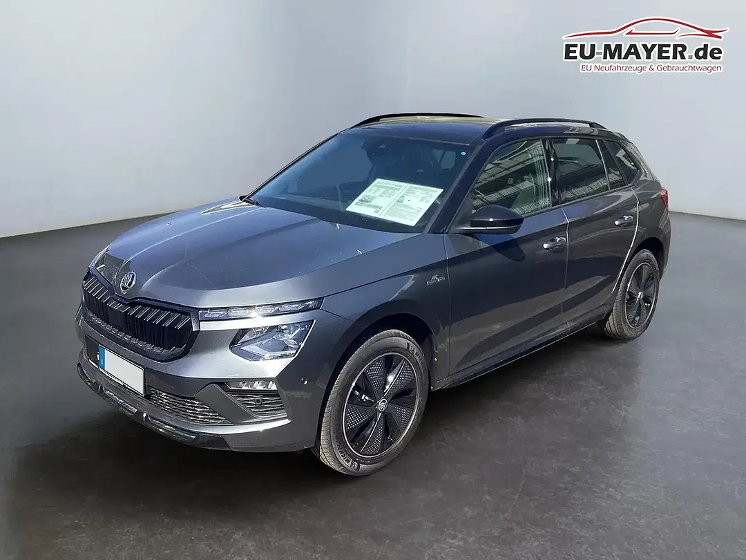Skoda Kamiq - Thumbnail 3