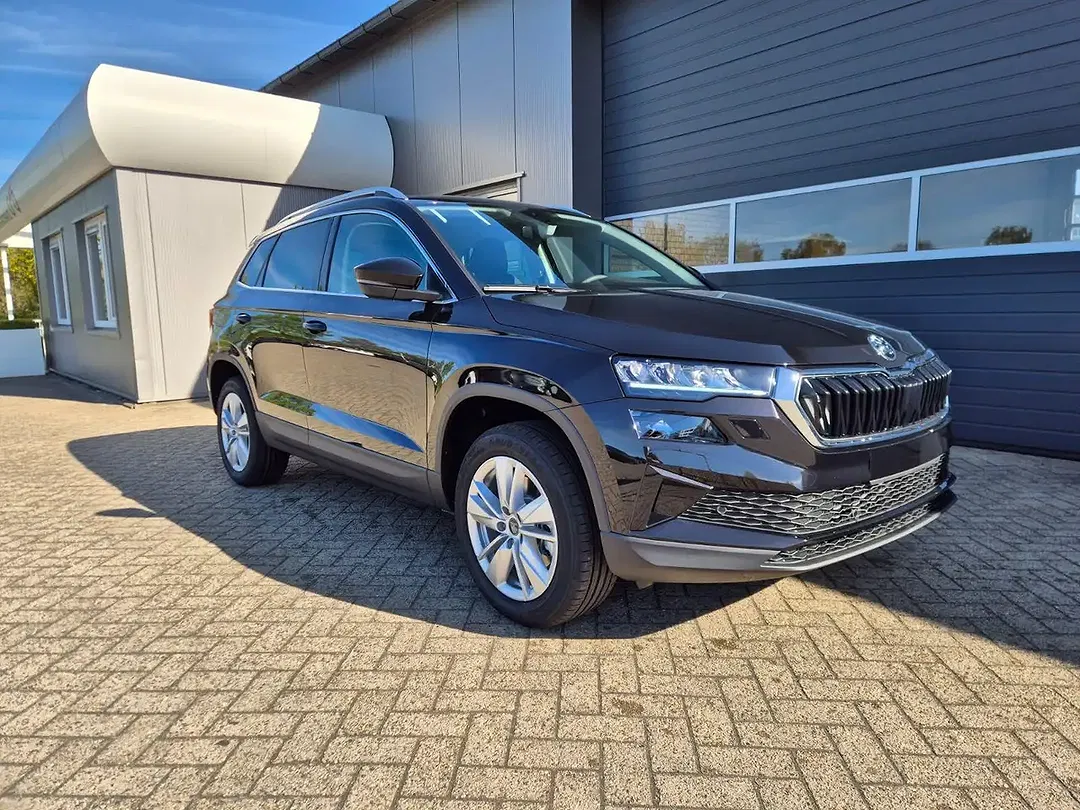 Skoda Karoq - Thumbnail 7