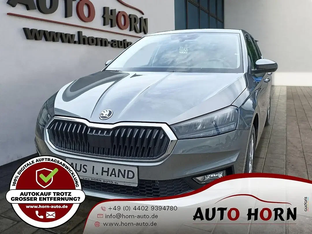Skoda Fabia - Afbeelding 1