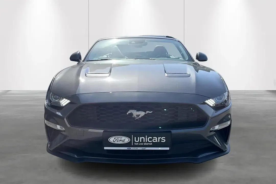 Ford Mustang - Thumbnail 4
