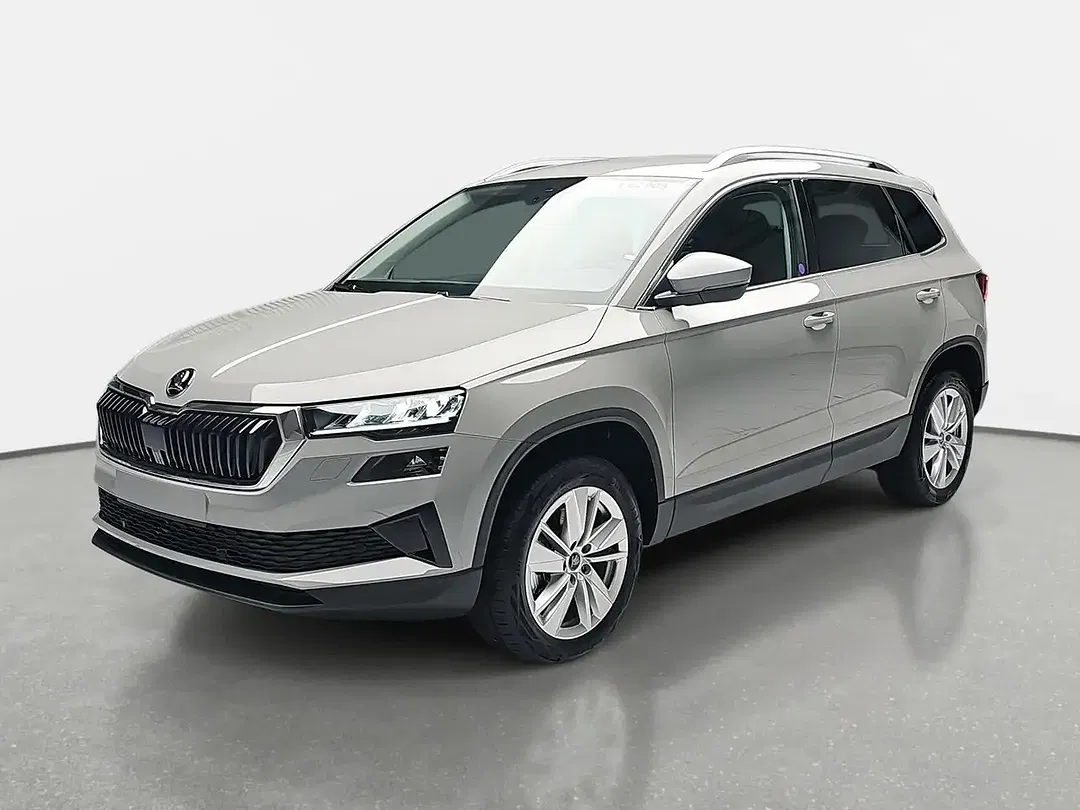 Skoda Karoq - Thumbnail 1