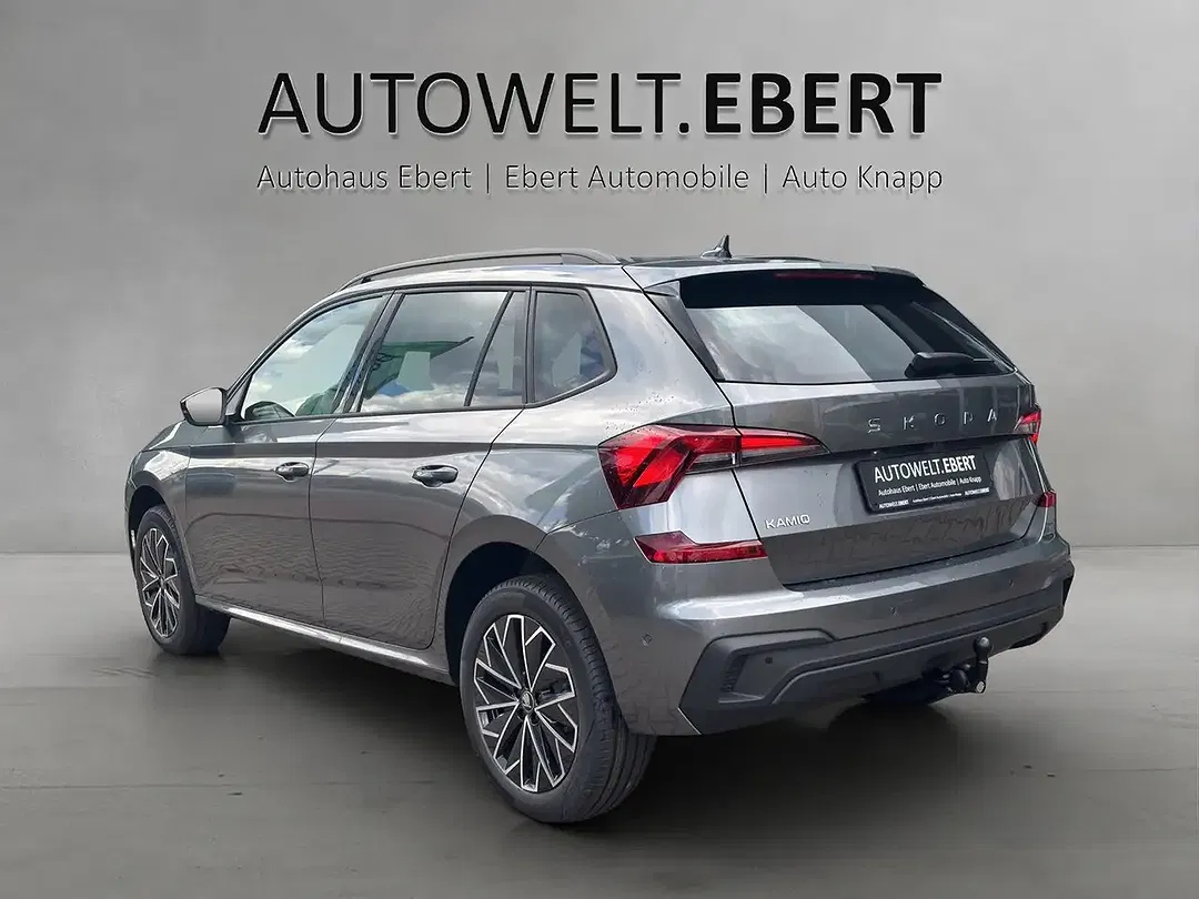 Skoda Kamiq - Thumbnail 3