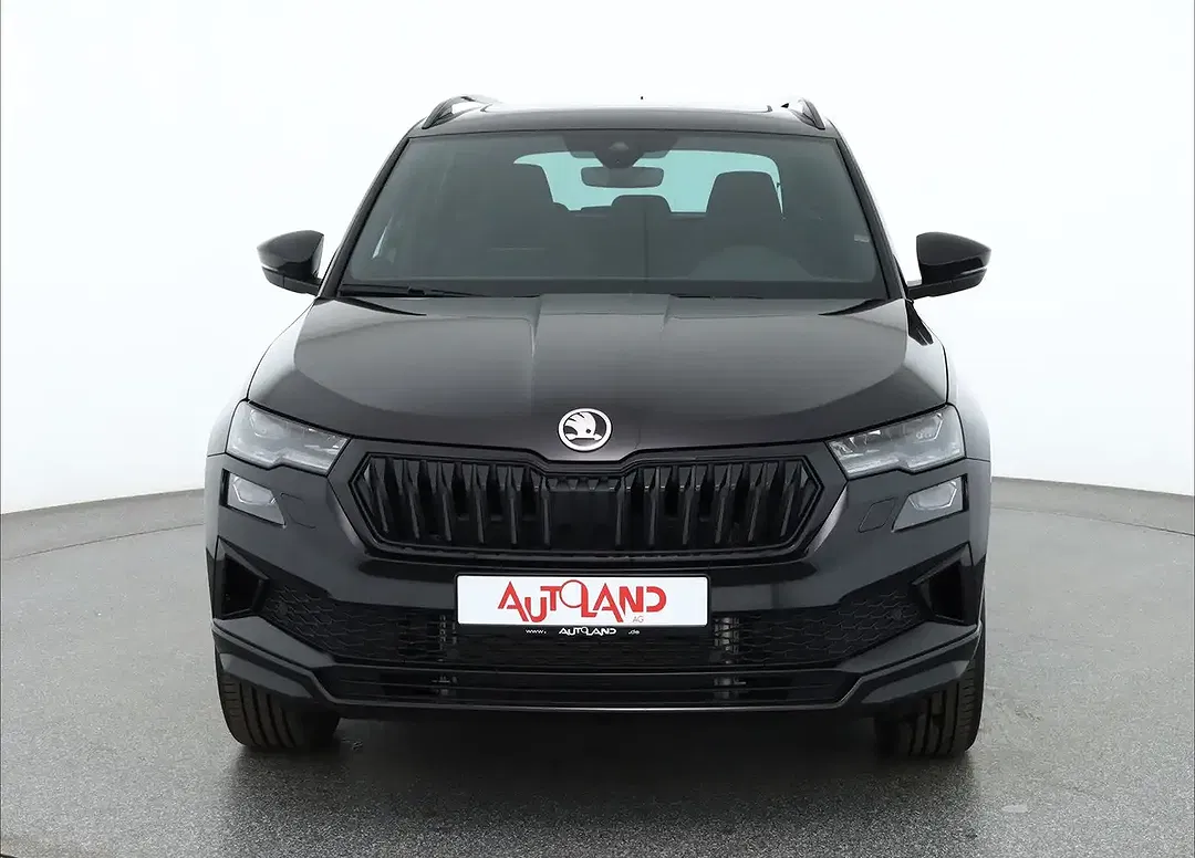 Skoda Karoq - Thumbnail 7