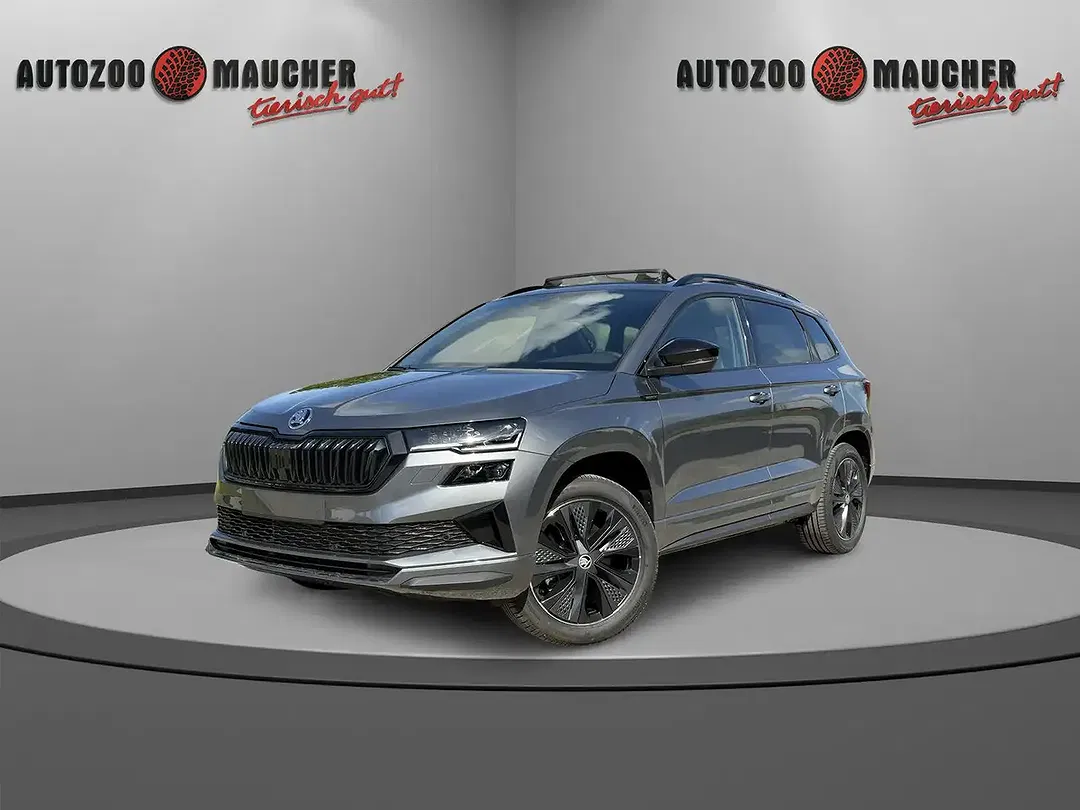 Skoda Karoq - Thumbnail 2