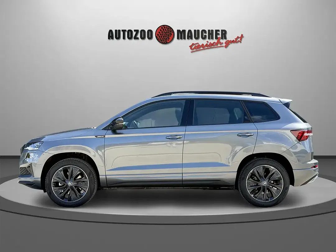 Skoda Karoq - Thumbnail 3