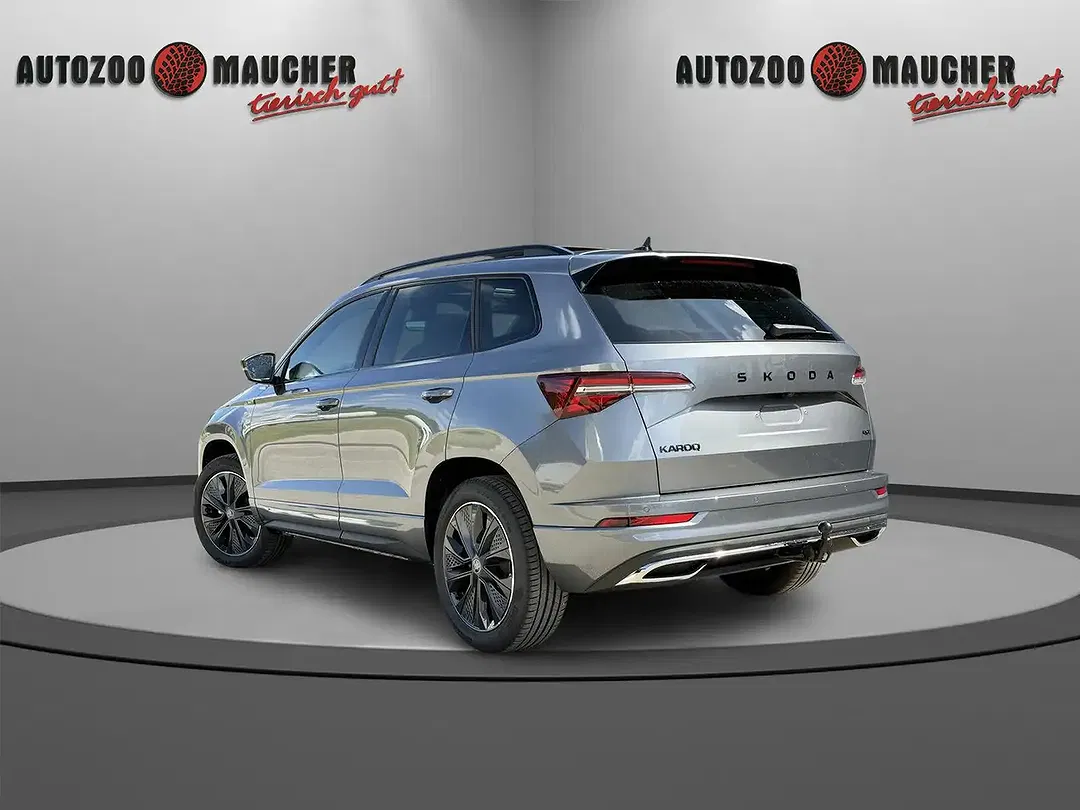 Skoda Karoq - Thumbnail 4