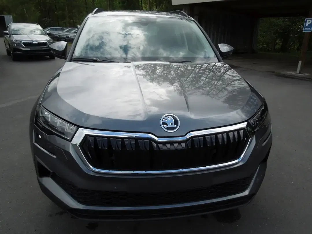 Skoda Karoq - Thumbnail 2