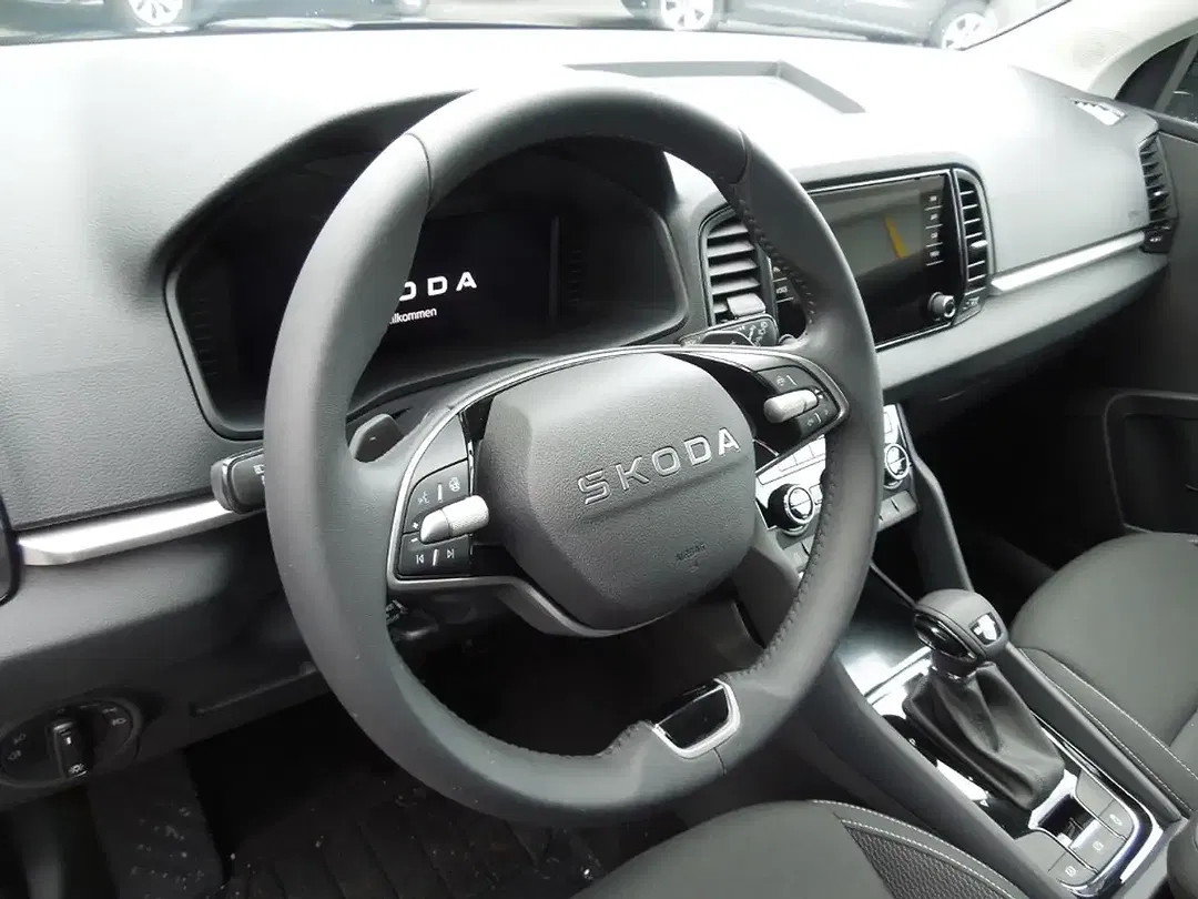 Skoda Karoq - Thumbnail 6