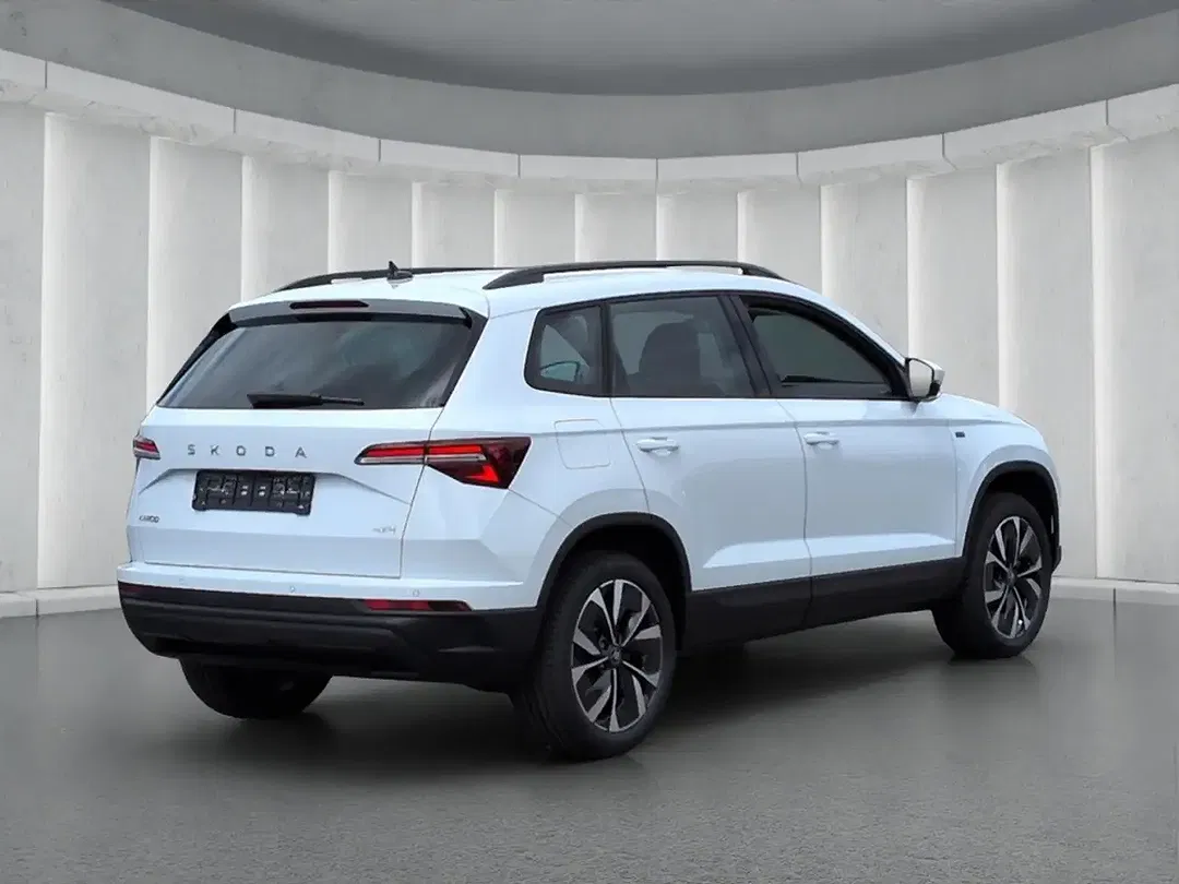 Skoda Karoq - Thumbnail 3