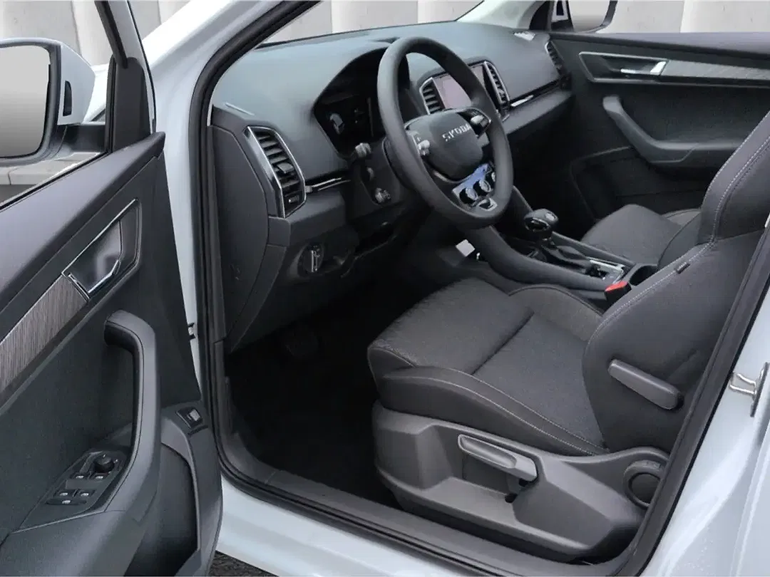 Skoda Karoq - Thumbnail 4