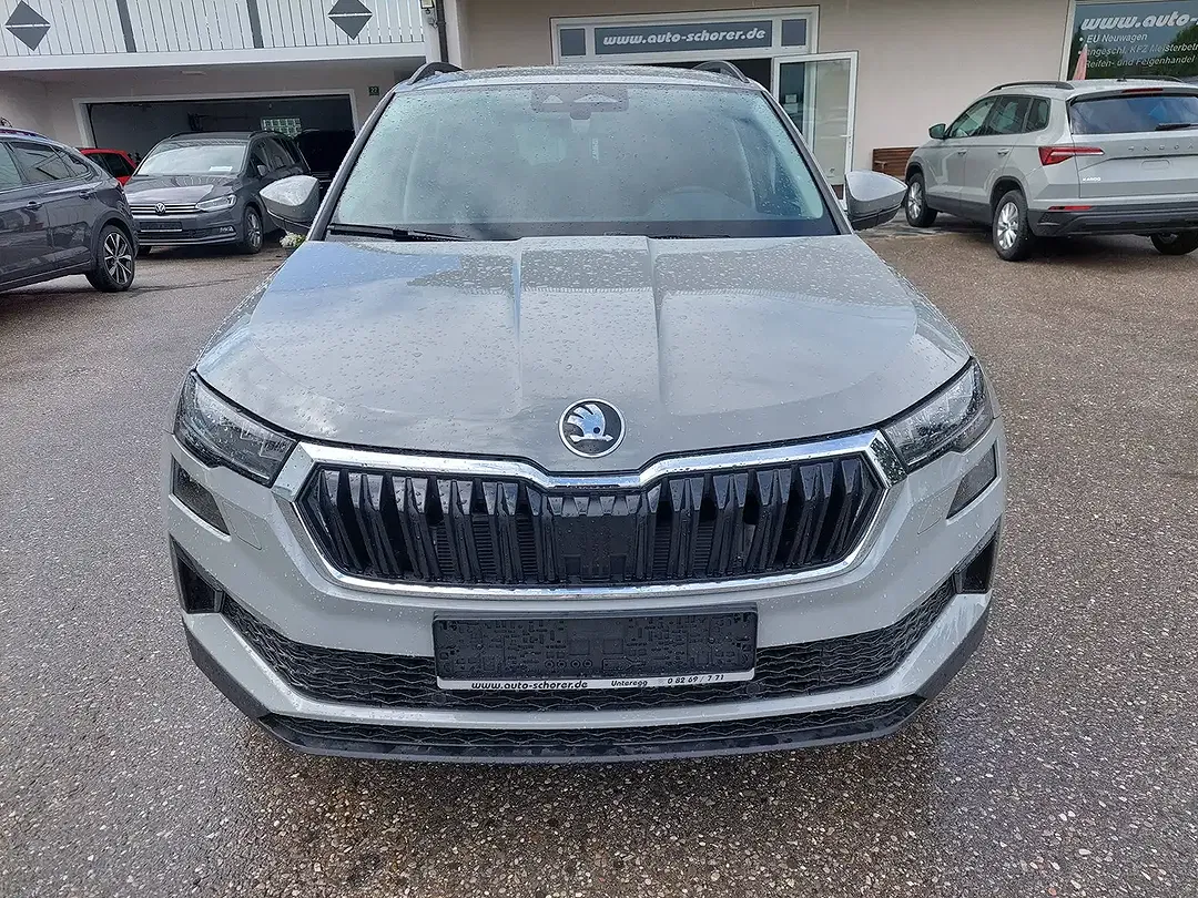 Skoda Karoq - Thumbnail 3