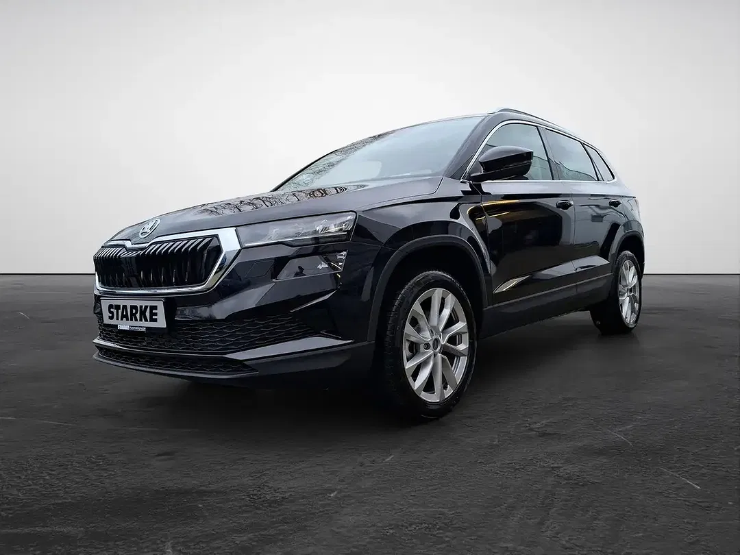 Skoda Karoq - Thumbnail 2