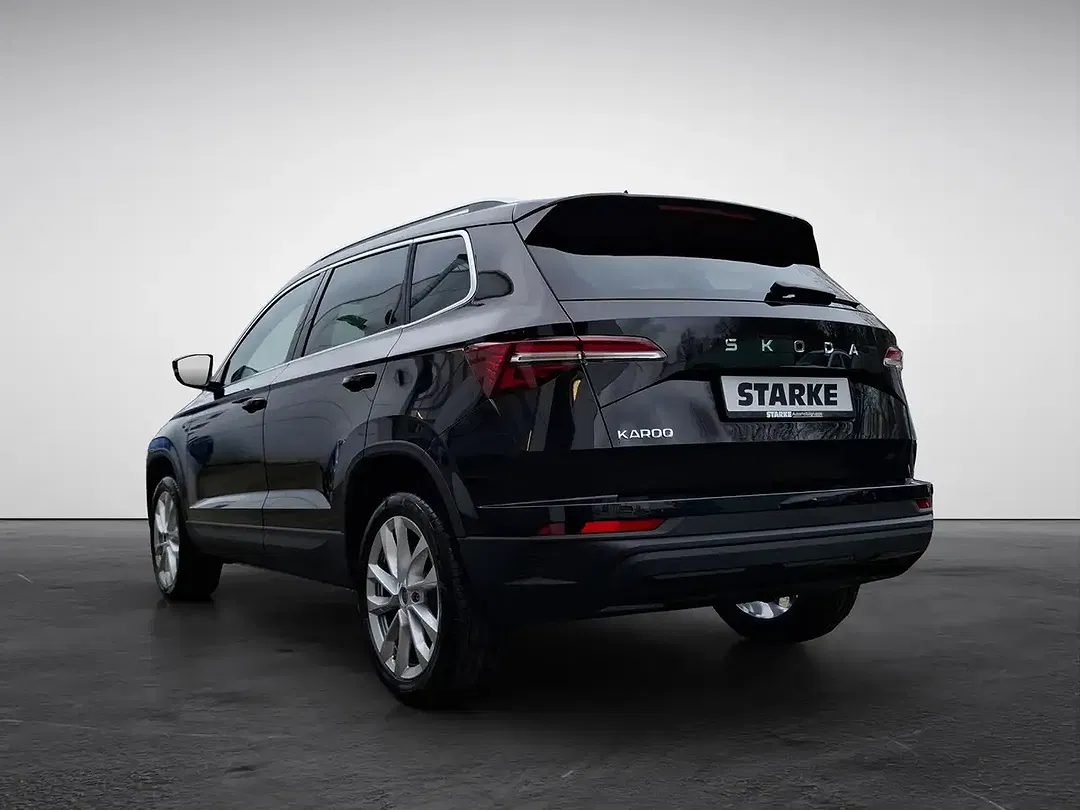 Skoda Karoq - Thumbnail 4