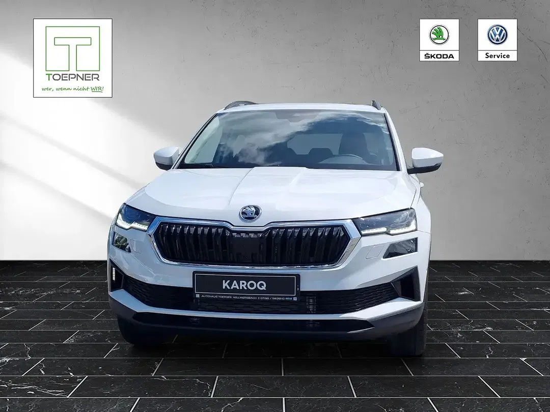 Skoda Karoq - Thumbnail 1