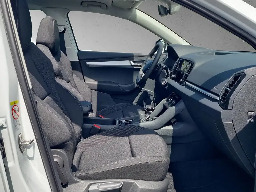 Skoda Karoq - Thumbnail 12