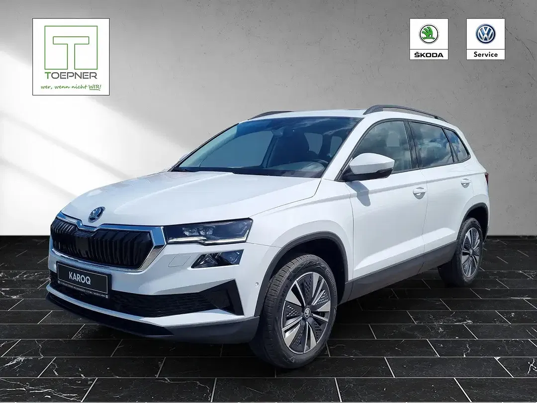 Skoda Karoq - Thumbnail 2