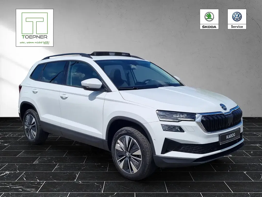 Skoda Karoq - Thumbnail 8