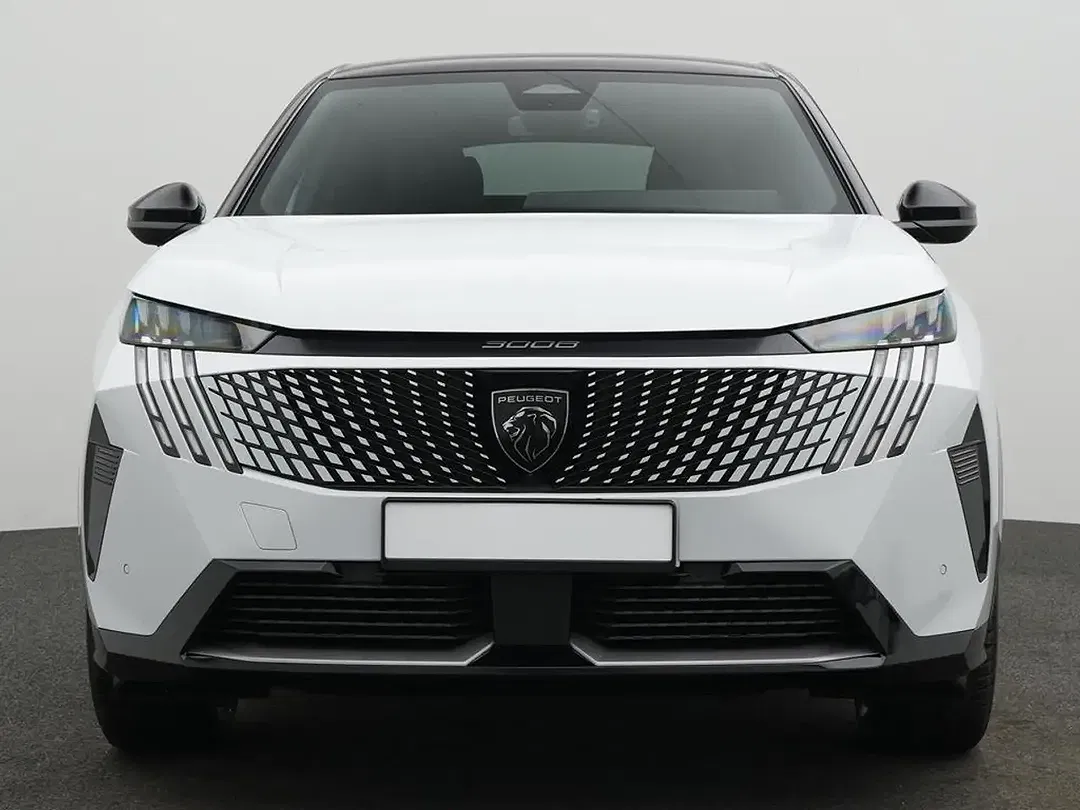 Peugeot 3008 - Thumbnail 1
