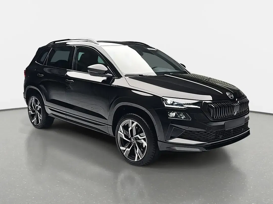 Skoda Karoq - Thumbnail 2