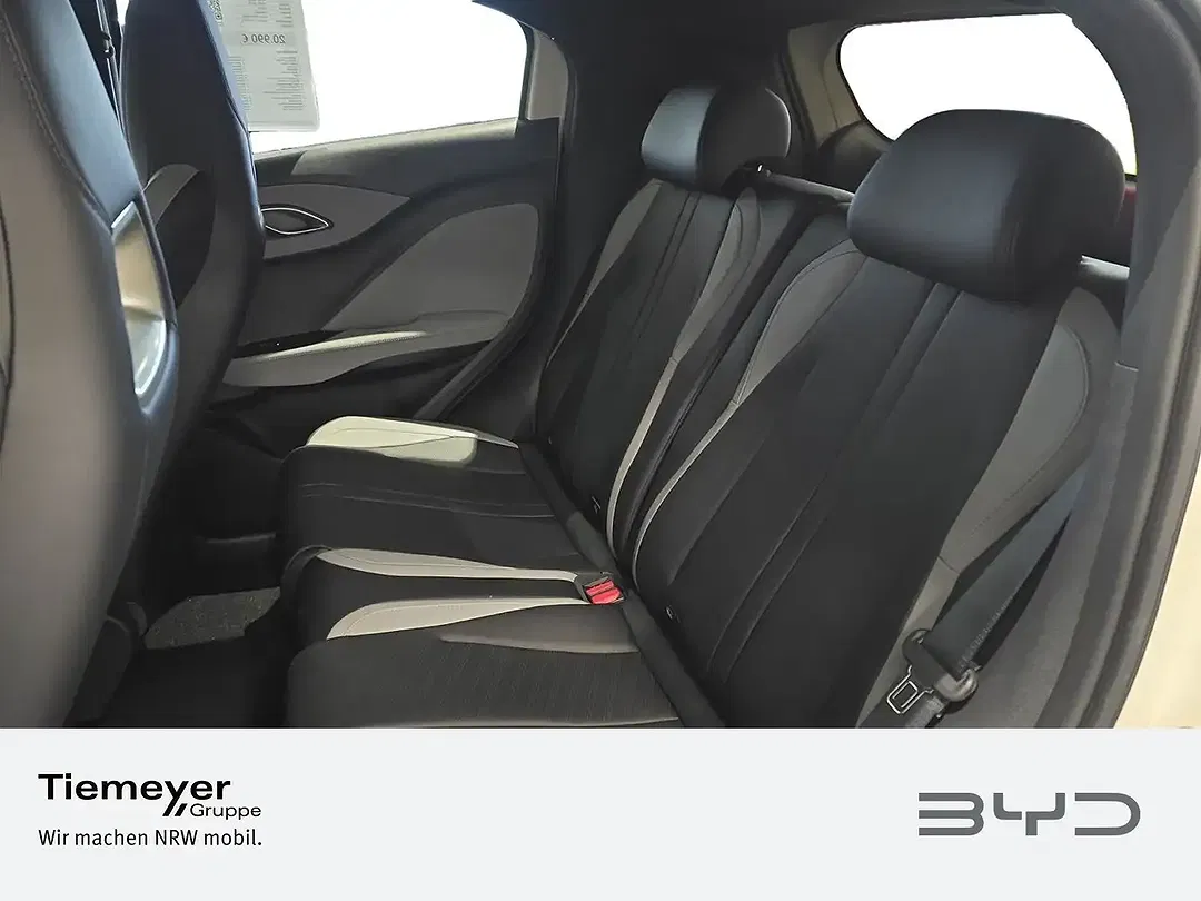 BYD Dolphin Surf - Thumbnail 11