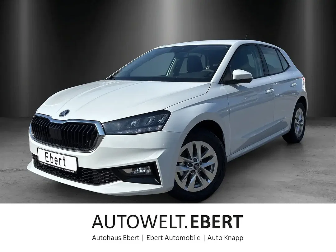 Skoda Fabia - Afbeelding 1