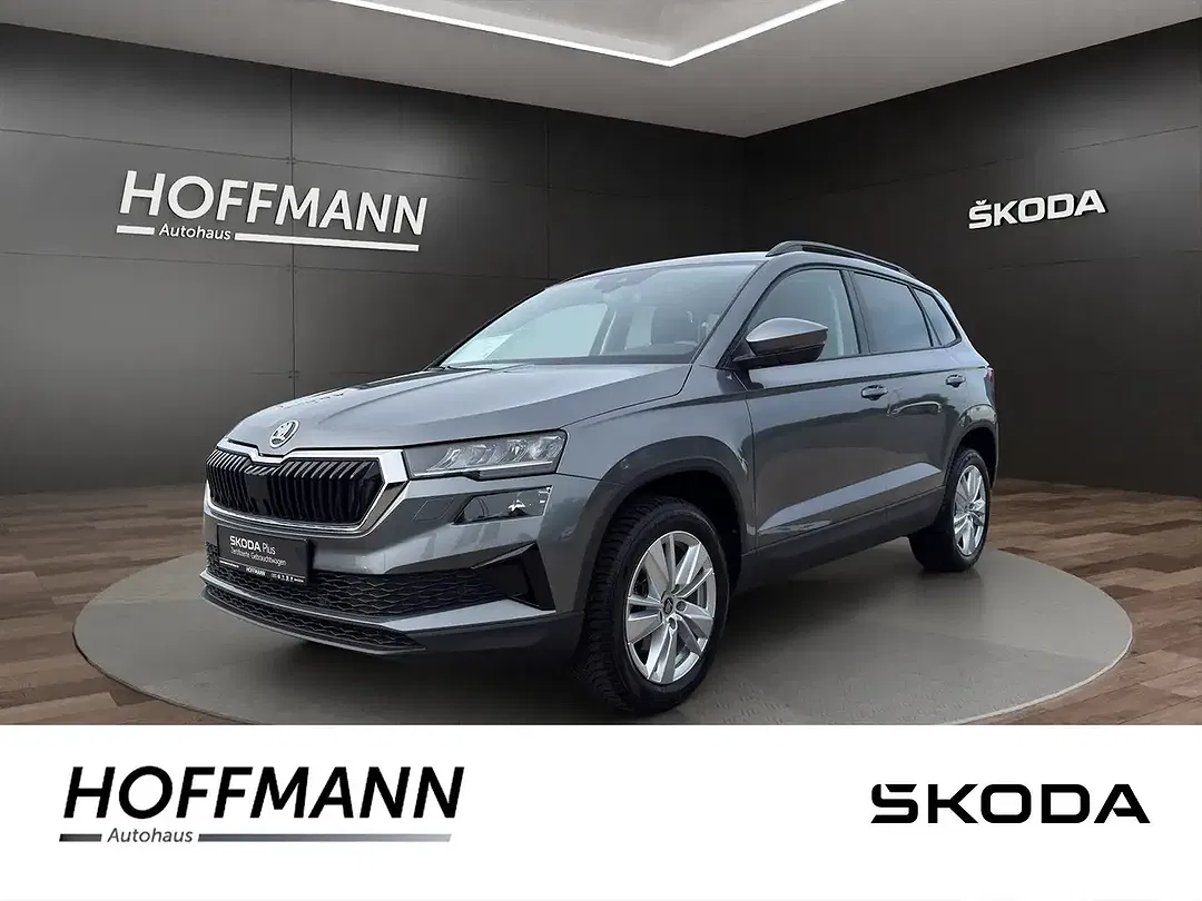 Skoda Karoq - Thumbnail 1