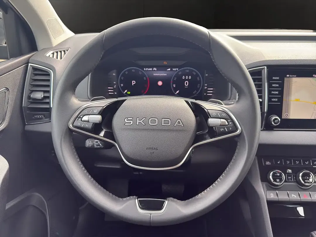 Skoda Karoq - Thumbnail 10