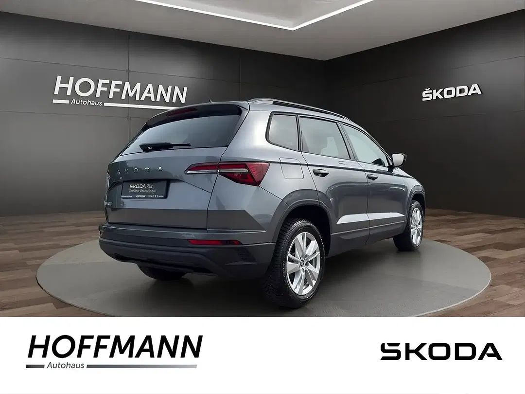 Skoda Karoq - Thumbnail 2
