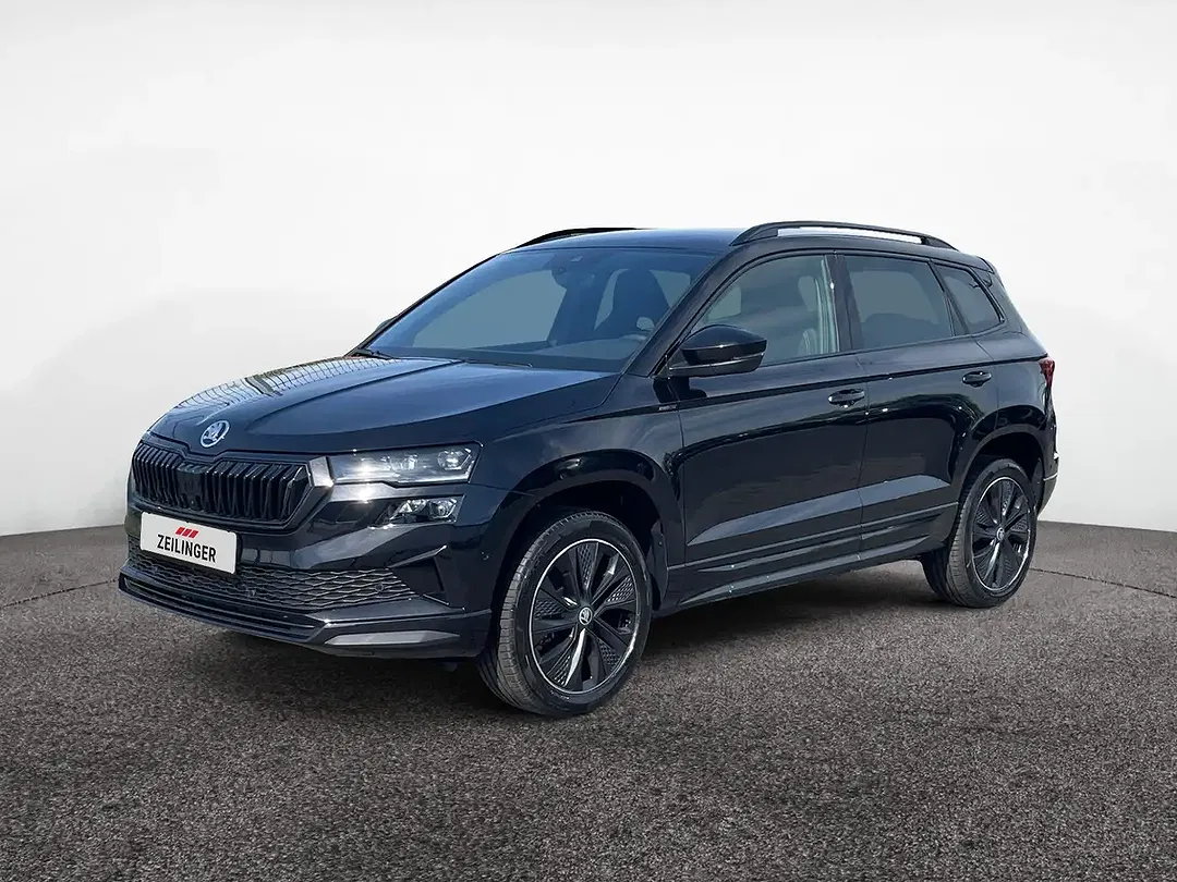 Skoda Karoq - Thumbnail 1