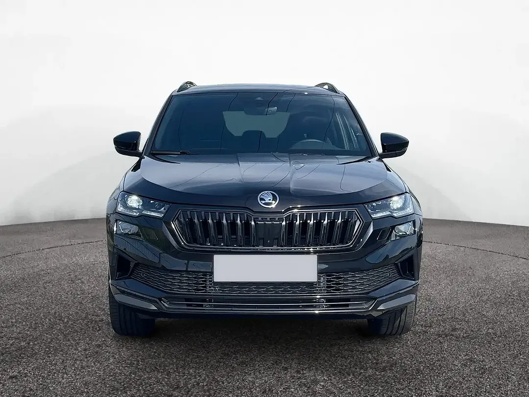 Skoda Karoq - Thumbnail 2