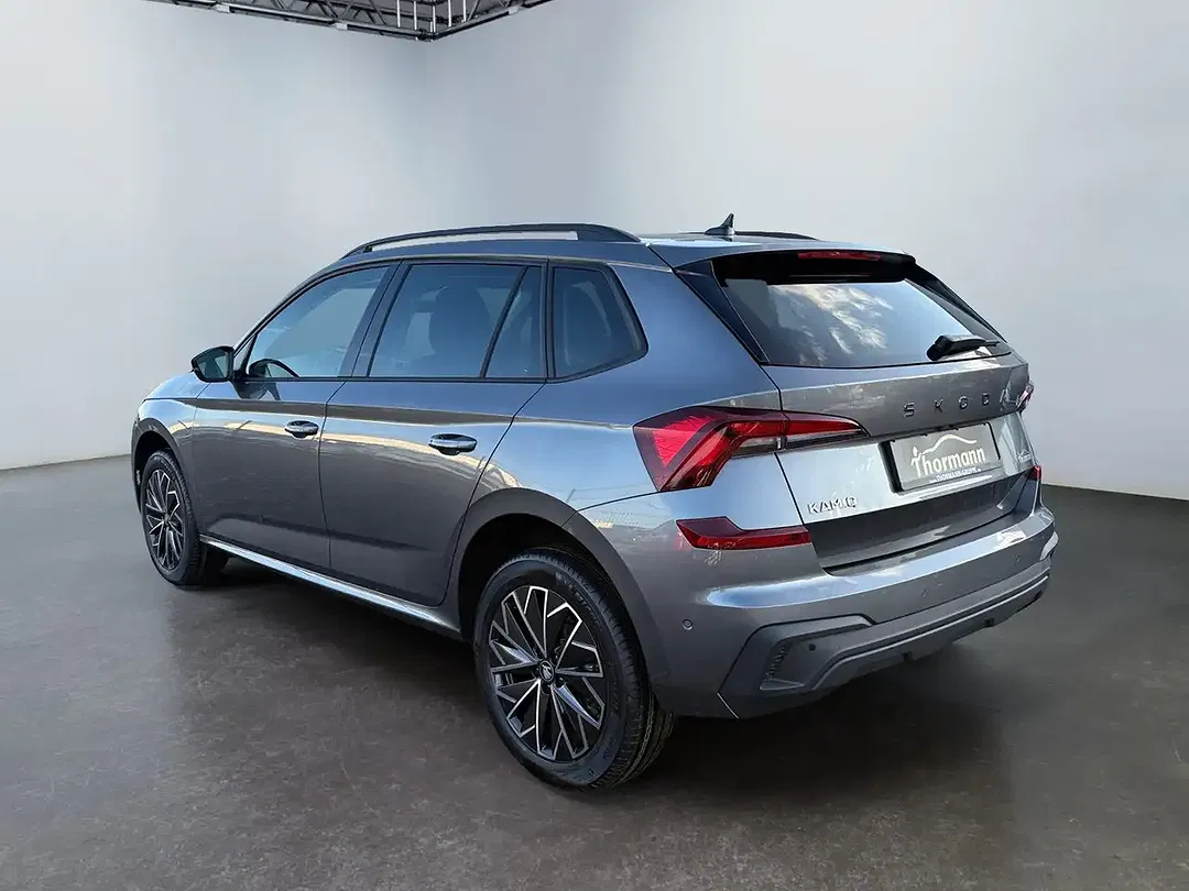 Skoda Kamiq - Thumbnail 4