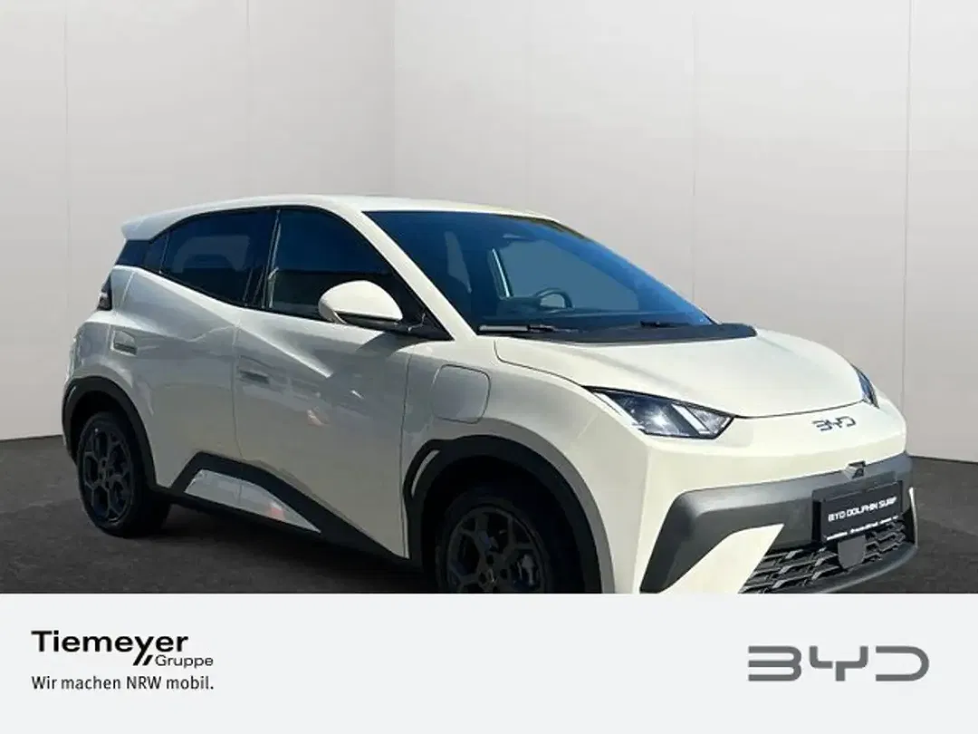 BYD Dolphin - Thumbnail 2