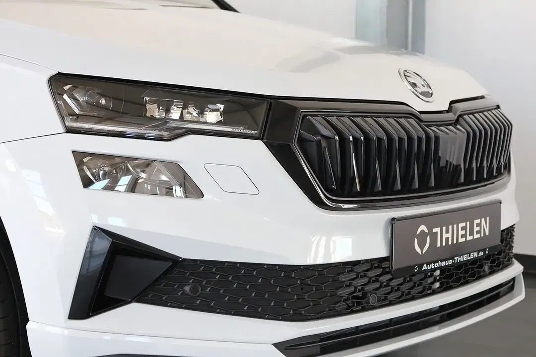 Skoda Karoq - Thumbnail 2