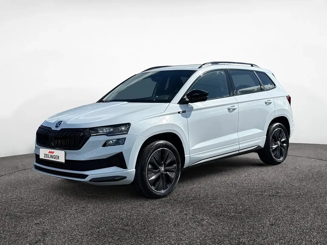 Skoda Karoq - Thumbnail 2