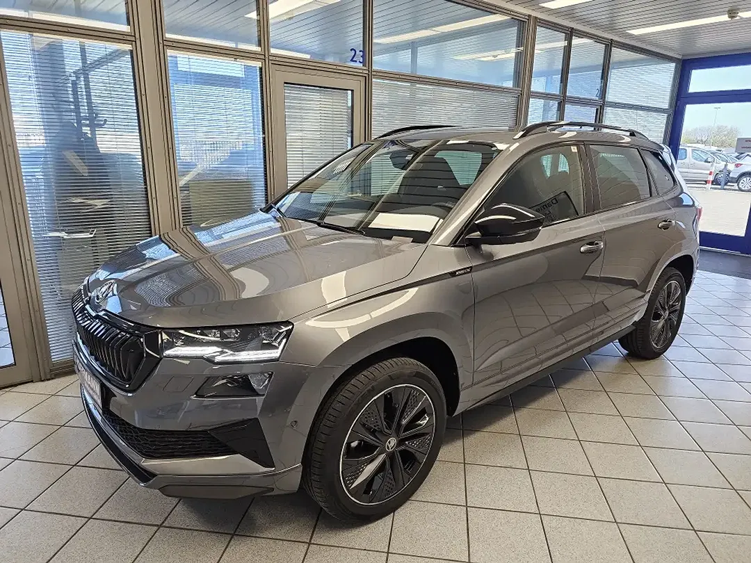 Skoda Karoq - Thumbnail 2