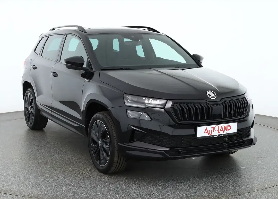 Skoda Karoq - Thumbnail 6