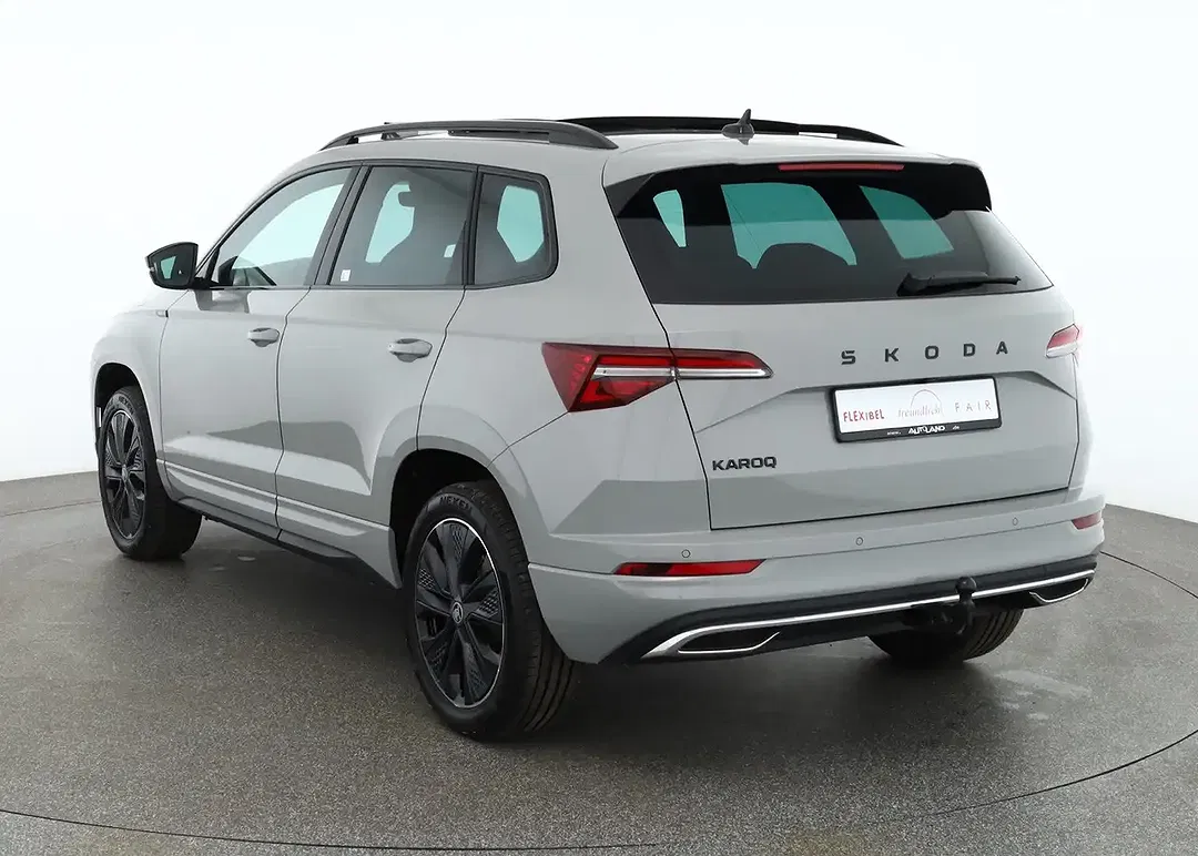 Skoda Karoq - Thumbnail 2