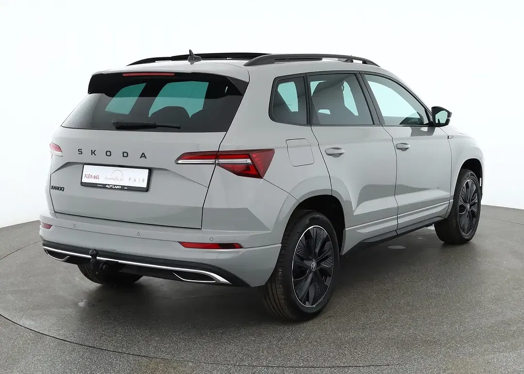 Skoda Karoq - Thumbnail 4