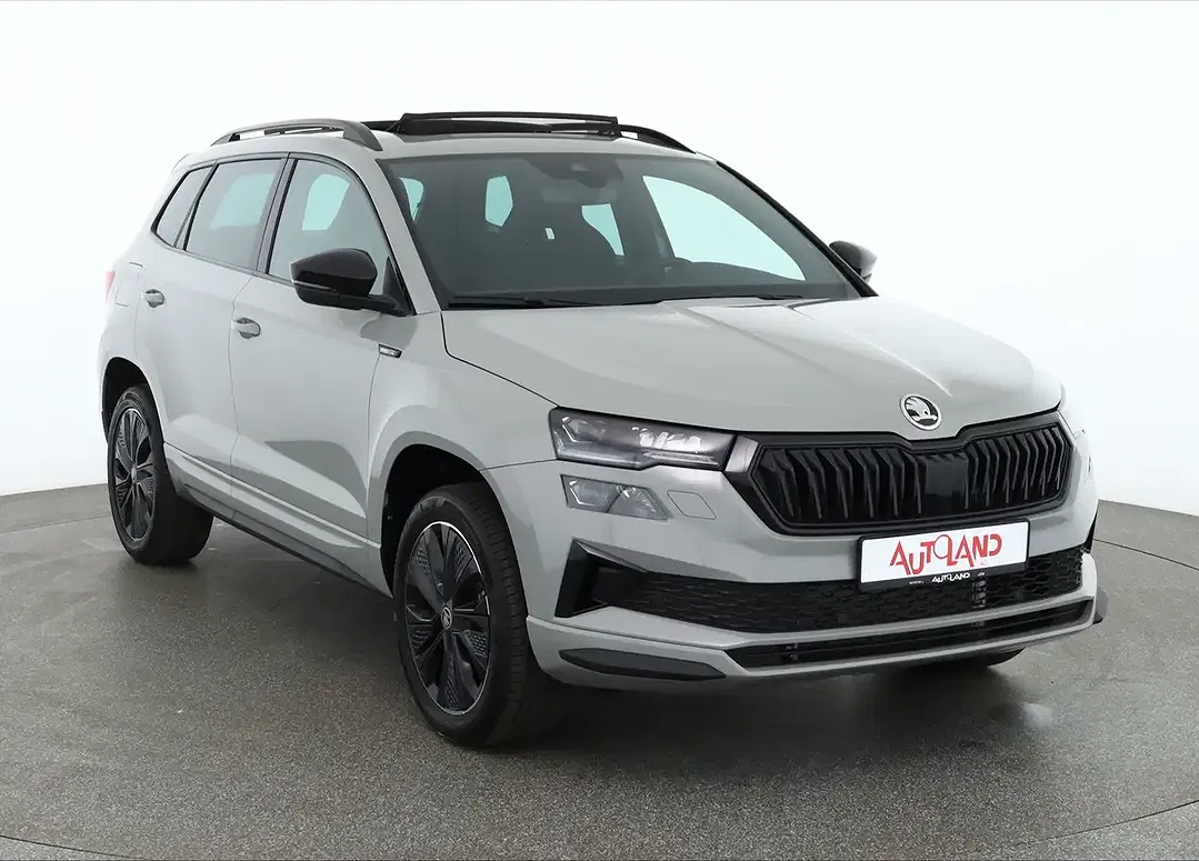 Skoda Karoq - Thumbnail 6