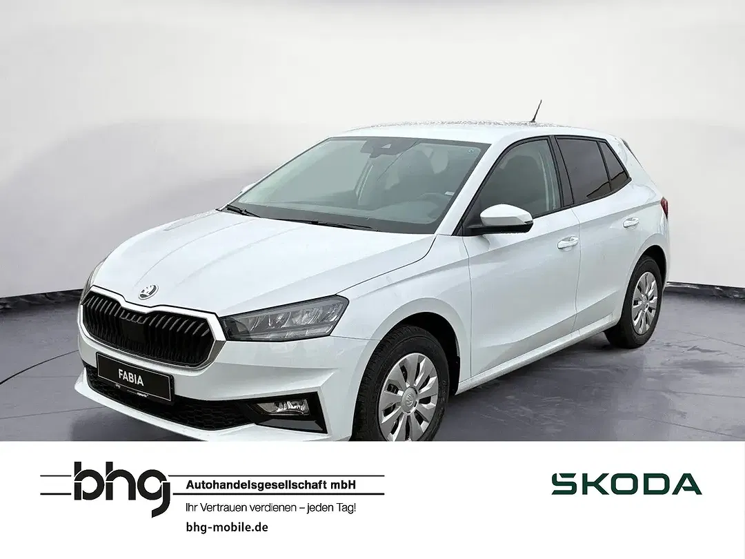 Skoda Fabia - Thumbnail 1